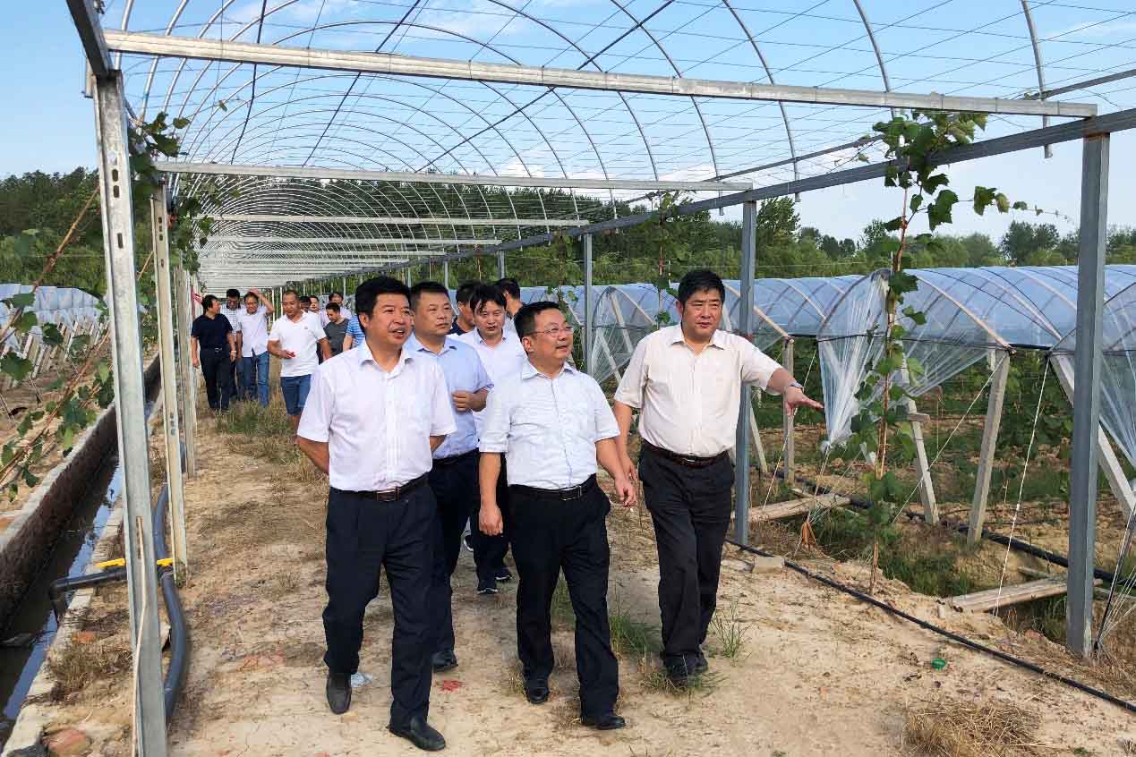 xc sports(中国区)-官方网站
