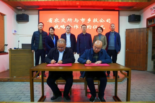 xc sports(中国区)-官方网站