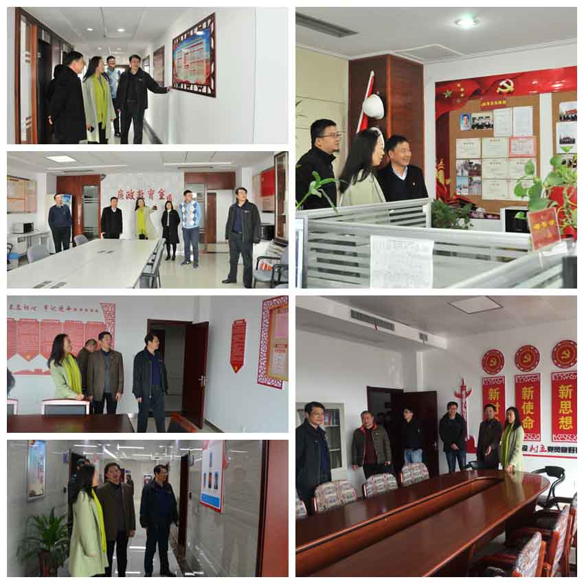 xc sports(中国区)-官方网站