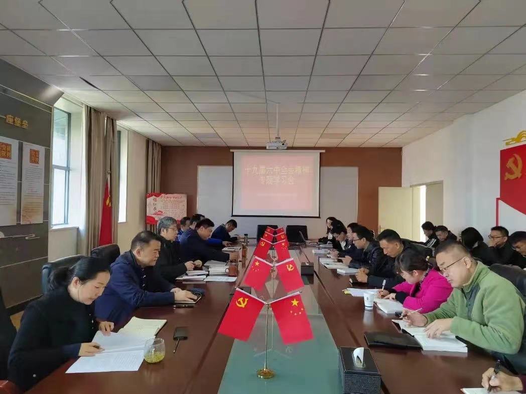 xc sports(中国区)-官方网站